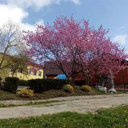 アパート Monny フリンブルク